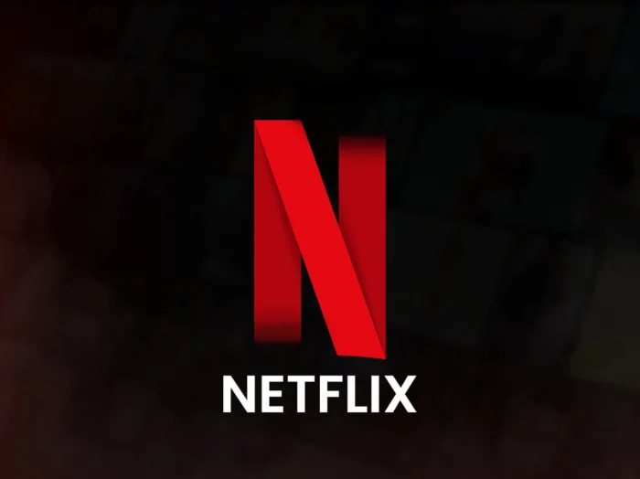 Netflix Premium - Private Profile